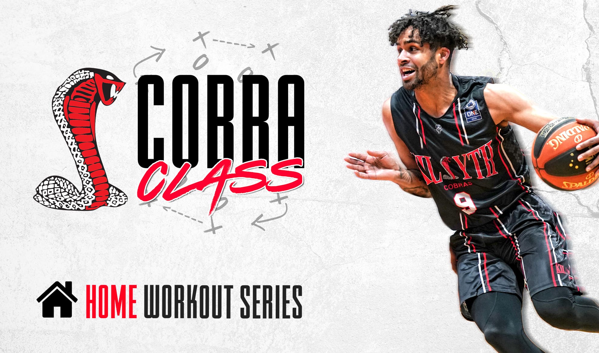 Cobra Basketball 